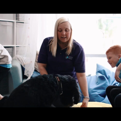 Springwell Leeds’ Therapeutic Dogs